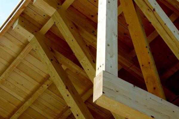 Particolare di una campata in abete
bianco, il legno a “chilometro zero” certificato
utilizzato nella quasi totalità della produzione
di Legnolandia.